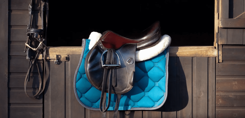 SaddleOnline.com – Best Western Saddles & Horse Tack 