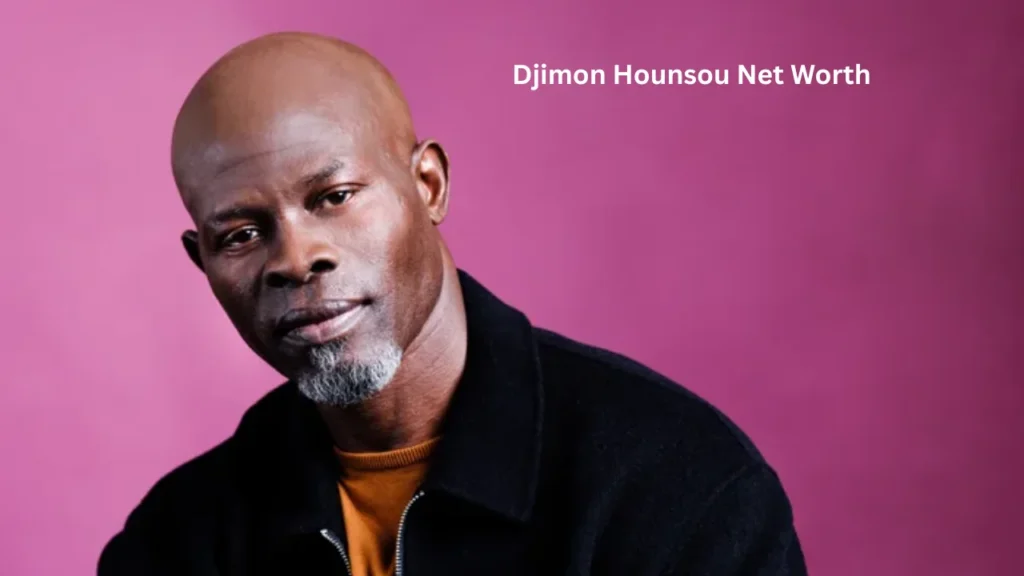 djimon hounsou net worth