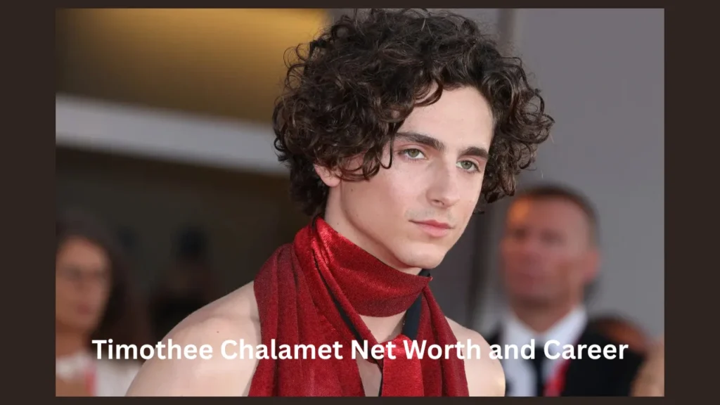 Timothee Chalamet Net Worth and Career
