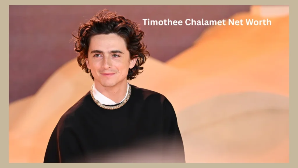 timothee chalamet net worth